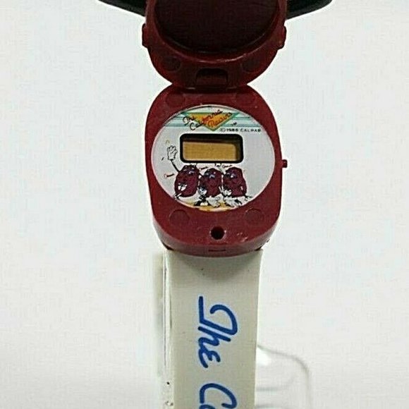 The California Raisin - Picture 6 of 11